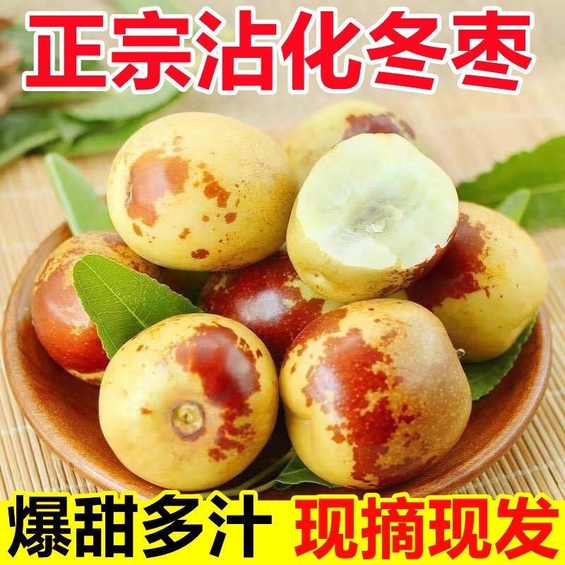 正宗山东沾化冬枣大果嘎嘣脆脆枣甜枣新鲜当季水果包邮现摘现发