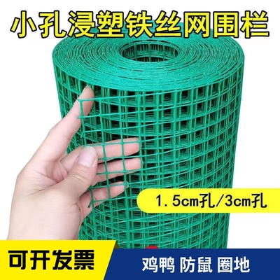 小孔围栏网鸡鸭养殖圈地围栏防护