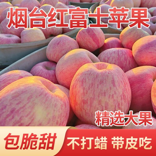 正宗山东烟台红富士苹果新鲜水果整箱包邮脆甜应当季批发9斤孕妇