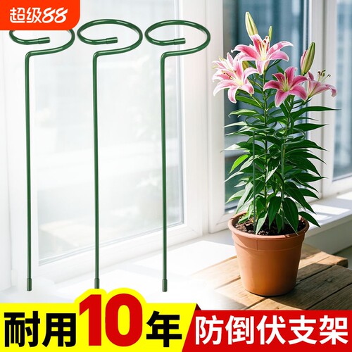 植物防倒伏支架园艺支撑杆
