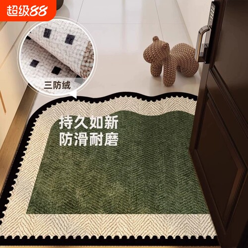 入户门垫高级感进门玄关免洗脚垫
