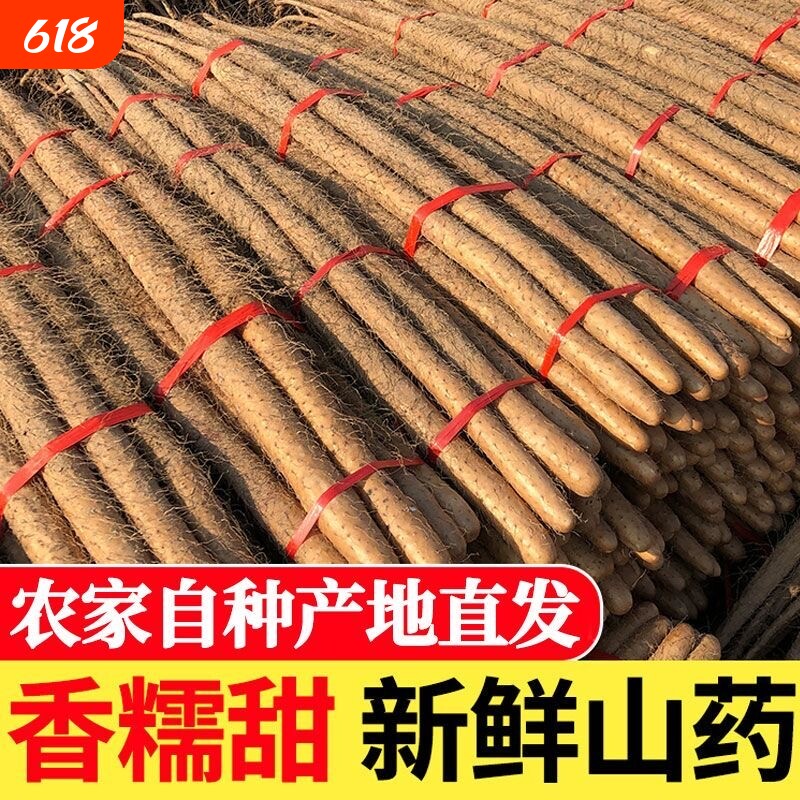 正宗铁棍山药新鲜铁杆淮山现挖小白嘴山药软糯香甜产地直发辅食