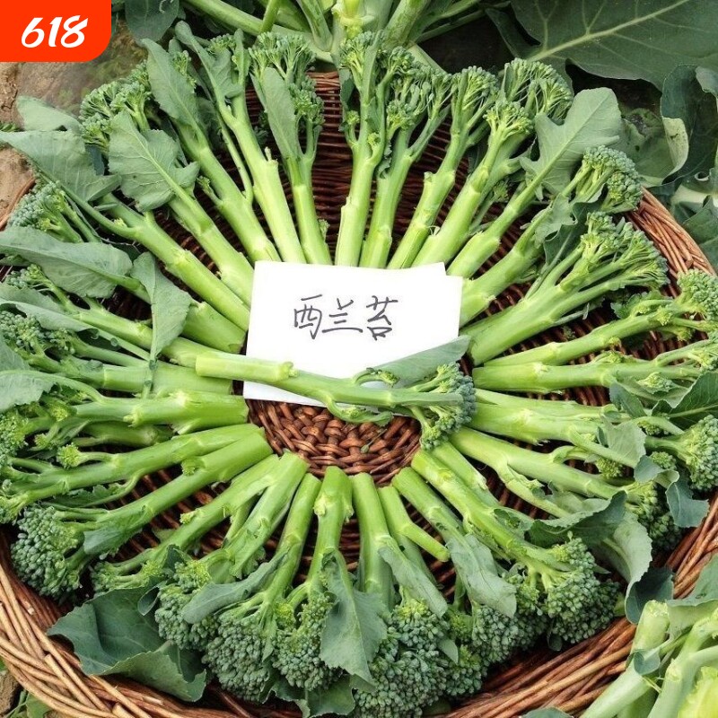 新鲜甜杆西兰苔迷你西兰花苔现摘芦笋青花苔时令蔬菜