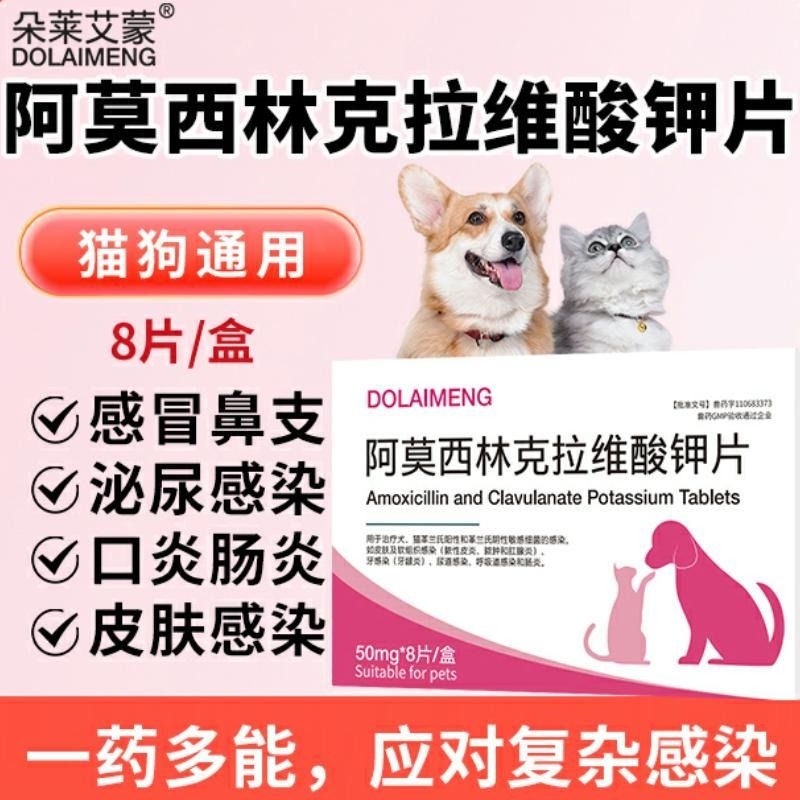猫咪狗狗感冒消炎药阿莫西林