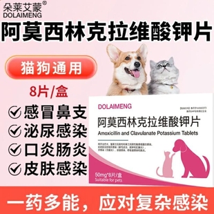猫咪狗狗感冒药阿莫西林克拉维酸钾片速消炎片猫鼻支诺流鼻涕喷嚏