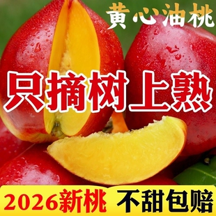 黄心油桃新鲜水果黄肉当季整箱包邮