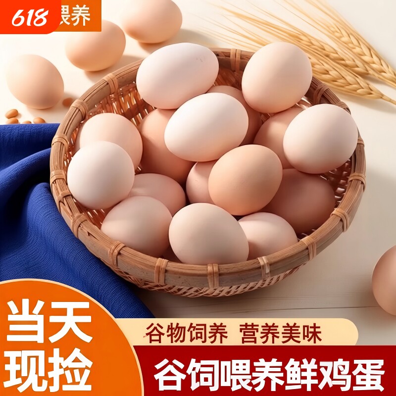 农场鲜鸡蛋谷物饲养鲜鸡蛋自养大个鲜鸡蛋谷饲喂养月子蛋农场鸡蛋