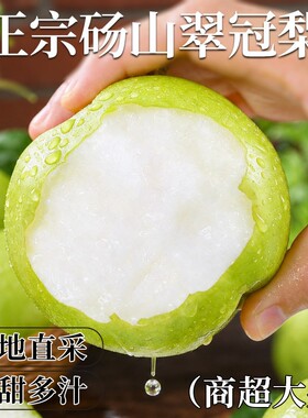 梨子新鲜水果砀山青梨皇冠梨当季翠冠梨香酥脆蜜早雪梨整箱包邮