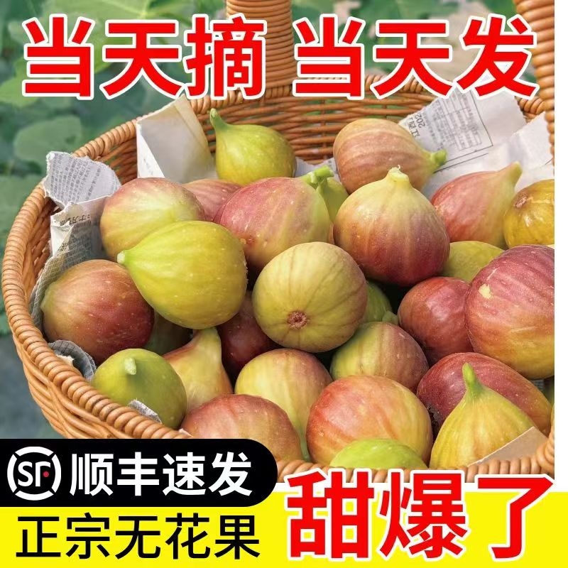 顺丰包邮新鲜紫红皮无花果甜糯大果当季孕水果现摘整箱批发果园