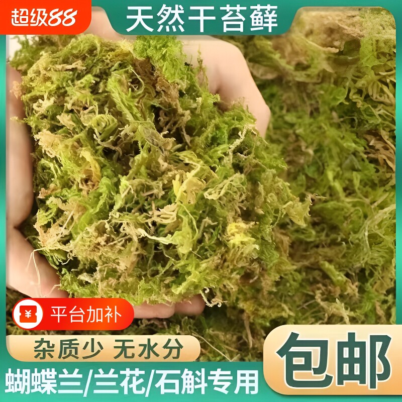 水苔干苔藓蝴蝶兰专用草皮营养土青苔兰花石斛爬宠乌龟垫材造景