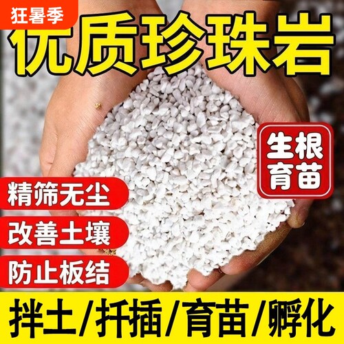 珍珠岩颗粒养花专用硬质大颗粒兰花多肉铺面垫底透气土壤植物优质