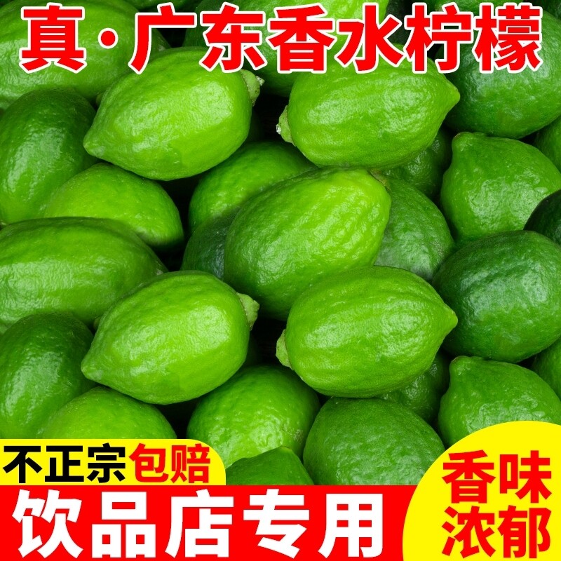 广东香水柠檬奶茶店专用新鲜正宗青柠檬无籽大果一级果应当季水果