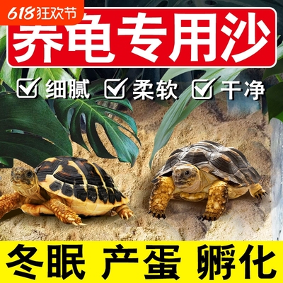 乌龟冬眠椰土苔藓专用底砂孵化沙子爬宠草龟垫材保暖产蛋造景下蛋