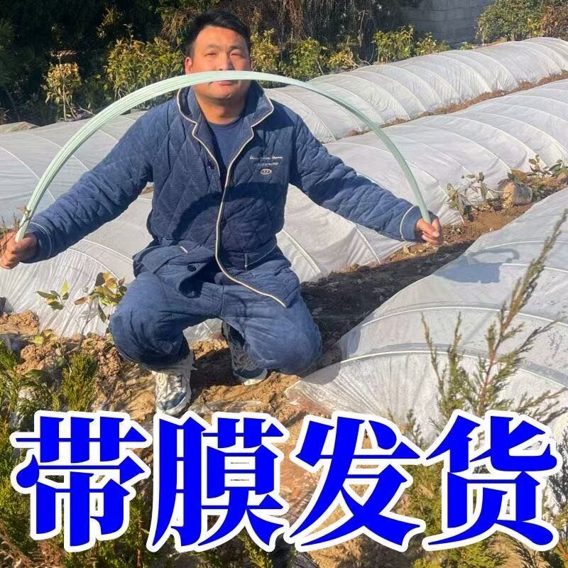 小拱棚杆实心菜棚保温玻璃纤维拱杆温室骨架育苗棚支架室内双层,鲜花速递/花卉仿真/绿植园艺,花架,淘宝优惠券,粉丝福利购,淘宝优惠卷