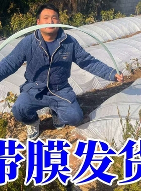 小拱棚杆实心菜棚保温玻璃纤维拱杆温室骨架育苗棚支架室内双层