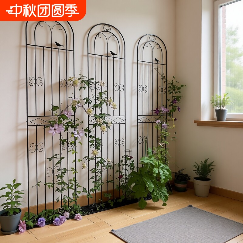 铁艺攀爬花架黑色|超3000次加购图片