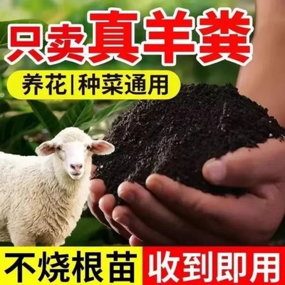 【园艺师推荐】纯羊粪有机肥料