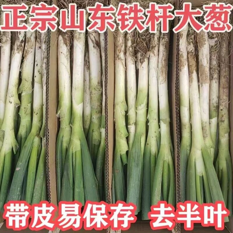 山东铁杆大葱含箱5斤 9.4元 - 线报酷