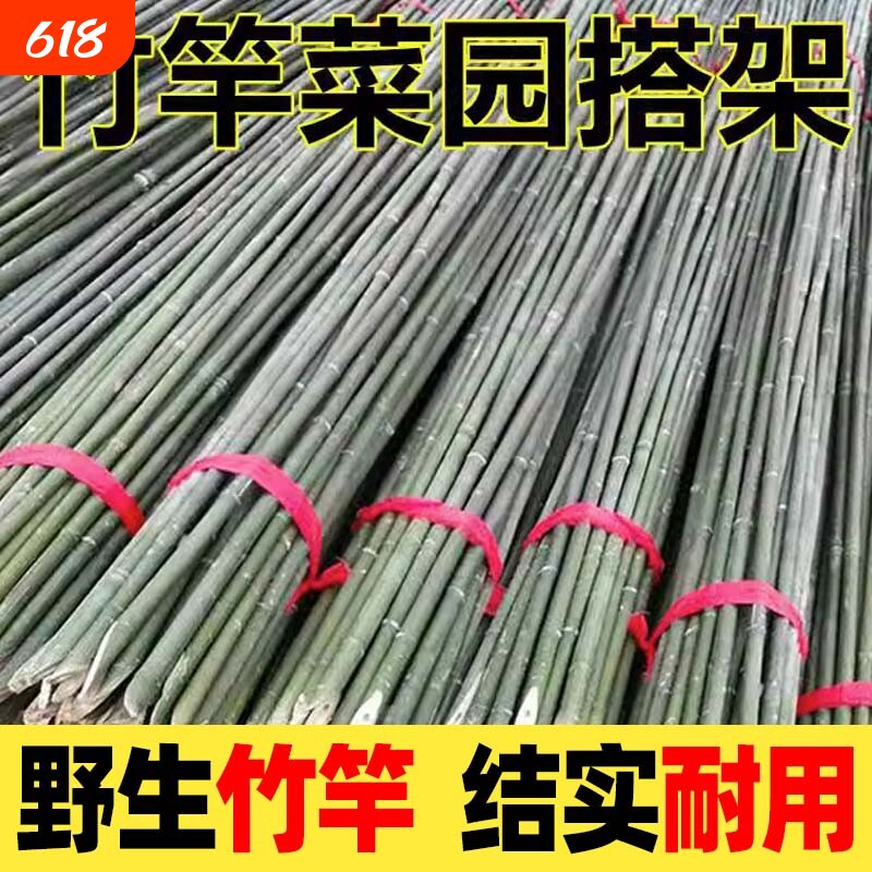 竹竿菜园搭架蔬菜黄瓜豆角架杆竹篱笆栅栏小竹子细竹竿爬藤架庭院