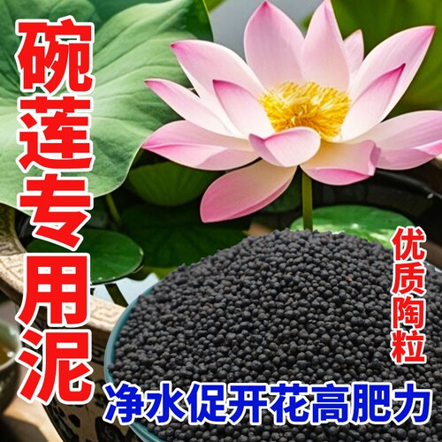 甜沃碗莲专用泥|超1000次加购