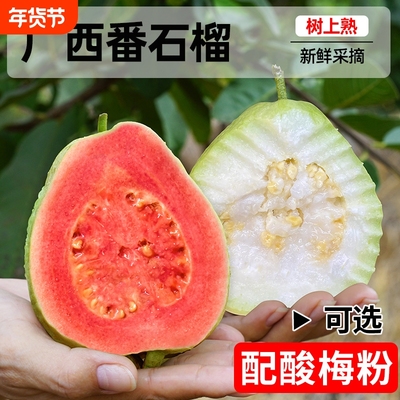 广西红白芭乐双拼软心