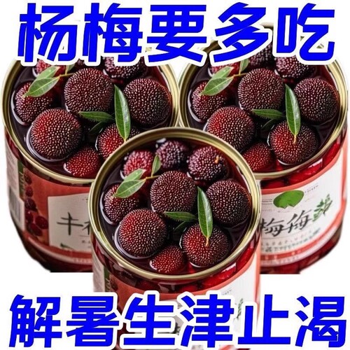 杨梅罐头312克新鲜水果糖水水果罐头水果捞整箱鲜果荔枝黄桃当季