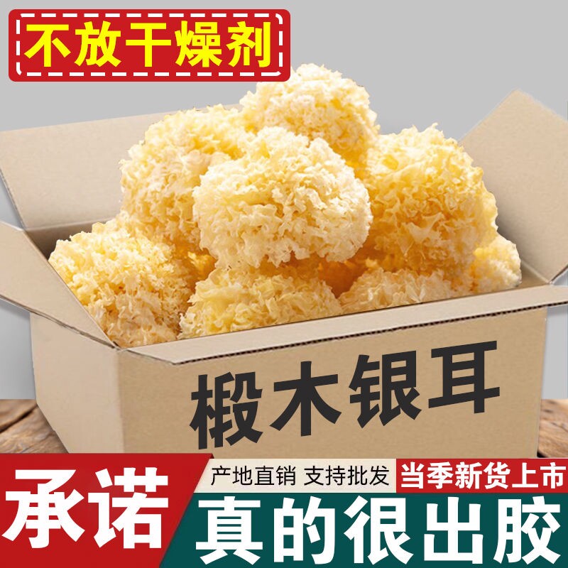 椴木小银耳白木耳干货特级非有机野生糯耳羹出胶雪耳古田丑耳无硫