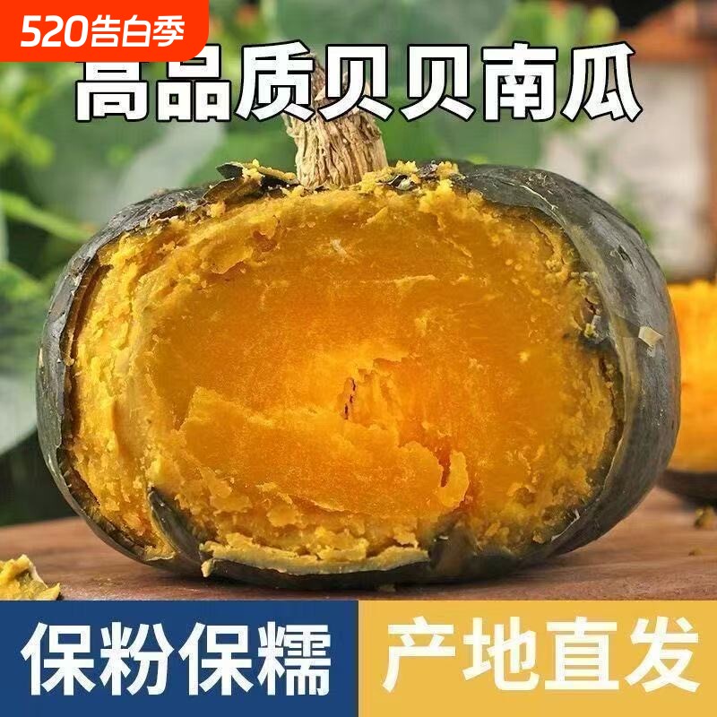 正宗贝贝南瓜板栗味小南瓜新鲜现摘孕妇宝宝辅食正品老南瓜栗子味