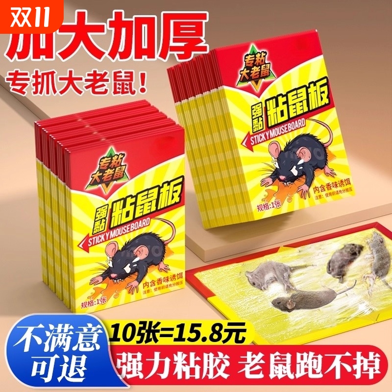 【专抓大老鼠】自带引诱加大加厚