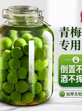 泡酒玻璃瓶青梅泡酒罐果酒空瓶食品级密封罐杨梅专用酒坛容器酿酒