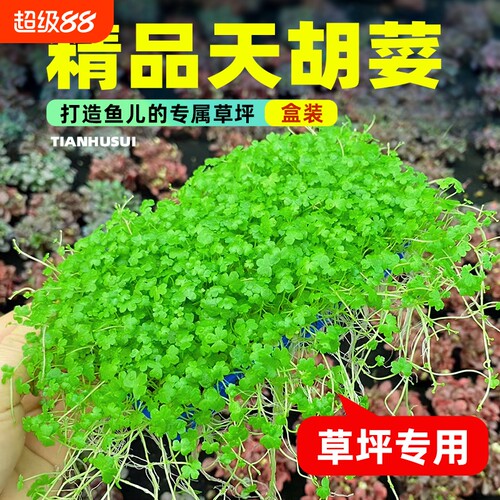 天胡荽水草网片|342人收藏
