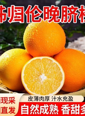 橙子伦晚脐橙湖北秭归新鲜大果甜春橙手剥橙整箱当季水果现摘