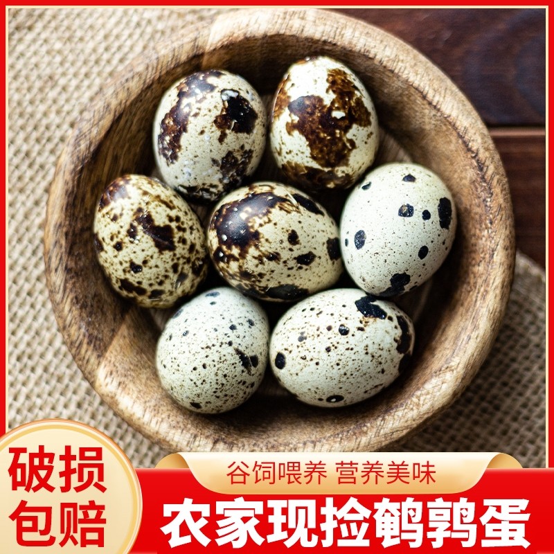 农家杂粮喂养鹌鹑蛋新鲜孕妇宝宝辅食生鹌鹑蛋生鸟蛋现捡现发50枚