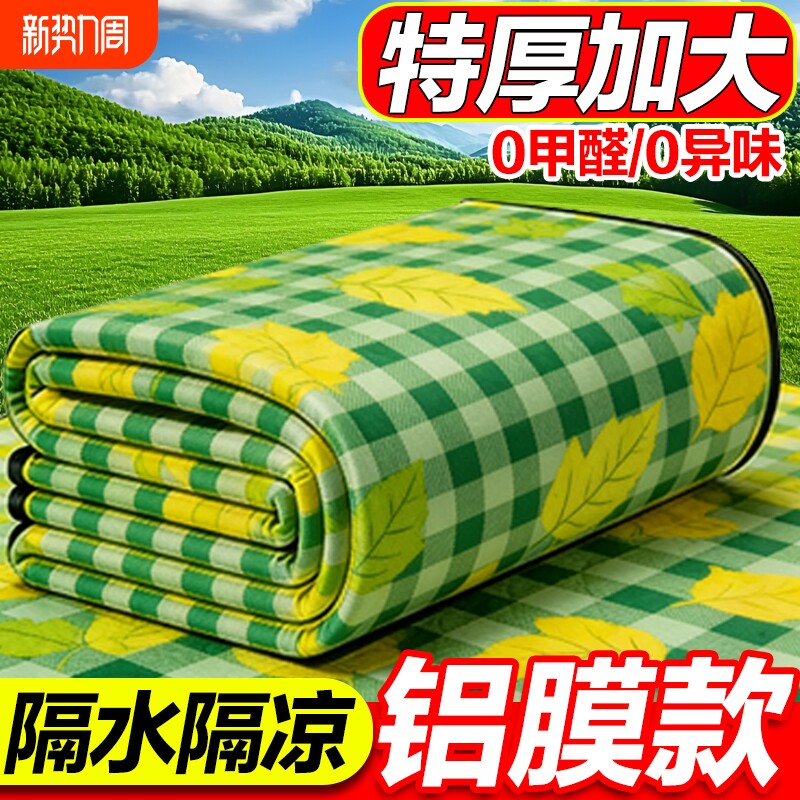 野餐垫户外防潮垫防水加厚便携徒步沙滩垫便携露营野炊草坪地垫子