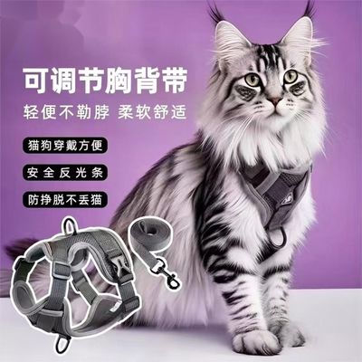 【央妈推荐】遛猫咪防挣脱牵引绳