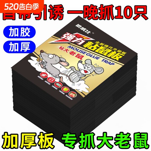 高粘度家用粘鼠板强力胶老鼠粘超强加大加厚商用款灭鼠神器老鼠贴