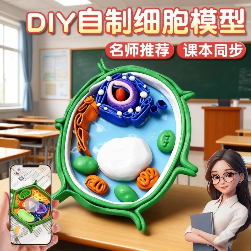 diy粘土动植物细胞模型