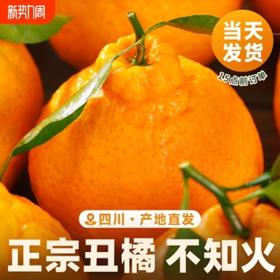 四川丑橘水果新鲜整箱大果时令当季斤耙耙粑粑丑柑橘子采摘爆汁