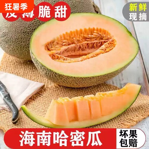哈密瓜大果哈蜜瓜孕妇水果新货