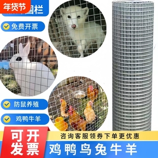 钢丝网铁丝网围栏网养殖网建筑网拦鸡网镀锌防护网铁网格玉米护栏