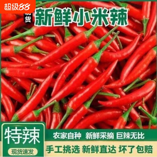 小米辣椒新鲜特辣小米椒朝天椒超辣薄皮土红辣椒指天椒尖椒批发