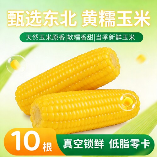 正宗东北黄糯玉米真空包装甜糯玉米加热即食玉米软糯香甜早餐饱腹