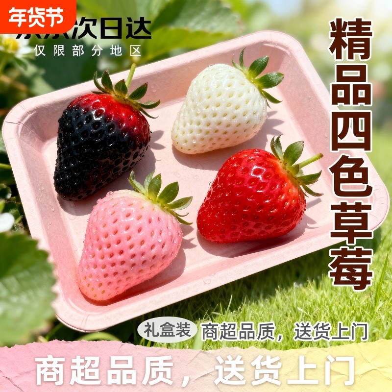 四拼草莓新鲜水果白黑珍珠礼盒隋珠草莓淡雪粉玉顺丰包邮鲜甜多汁,水产肉类/新鲜蔬果/熟食,草莓,淘宝优惠券,粉丝福利购,淘宝优惠卷