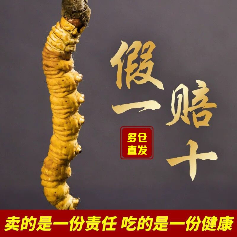 冬虫夏草50克新鲜正品