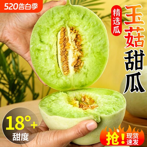 山东单县  玉菇甜瓜香瓜蜜瓜冰淇淋口感时令水果当季新鲜整箱