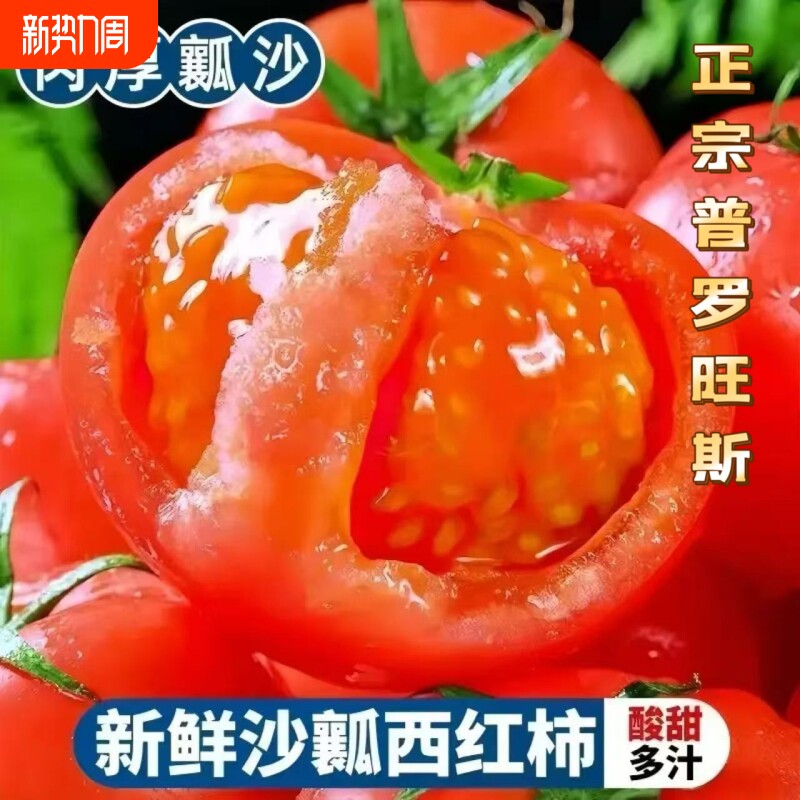 正宗陕西泾阳沙瓤普罗旺斯西红柿现摘新鲜生吃番茄水果一整箱包邮