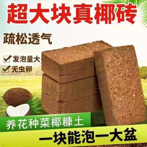 椰粉椰砖椰糠椰土兰花土营养土