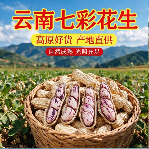 七彩花生云南特产花生米2026生熟水煮咸干新鲜健康特色果仁大粒