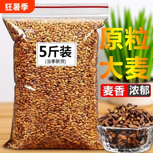 大麦茶2500g原味散装茶叶饭店酒店枸杞玫瑰决明子泡茶清香烘焙