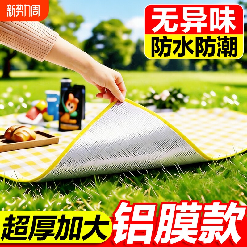 野餐垫户外防潮垫防水加厚便携徒步沙滩垫便携露营野炊草坪地垫子